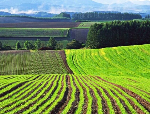 Зеленський хоче через 3 місяці дозволити продаж землі