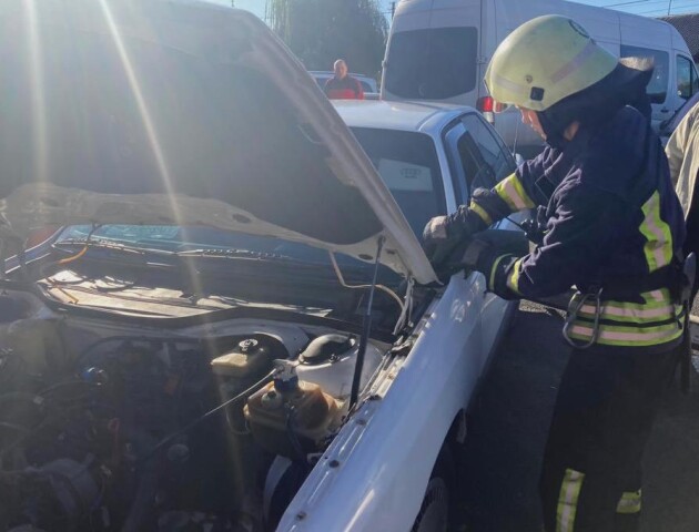 У місті на Волині під капот авто заповз вуж