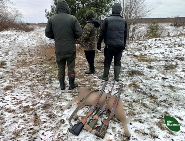 На Волині затримали трьох братів, які незаконно вполювали козулю
