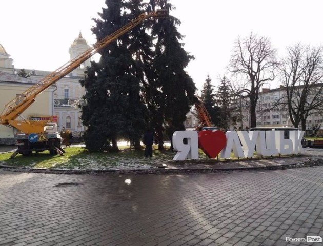У Луцьку почали прикрашати головну ялинку міста. ФОТО