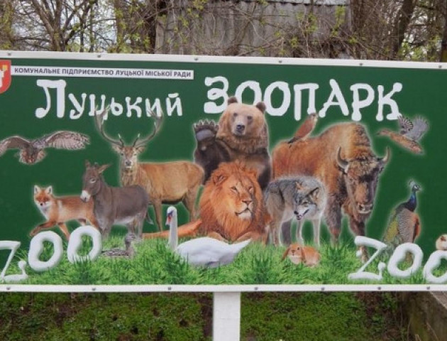 У Луцьку може з'явитися «готель» для тварин