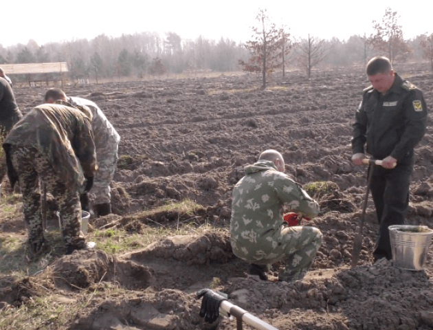 В Шацькому національному парку розширюють територію лісу. ВІДЕО