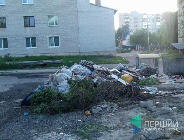 «Коли я бачу цю картину, хочеться плакати», - лучанка про гори сміття біля будинку. ФОТО