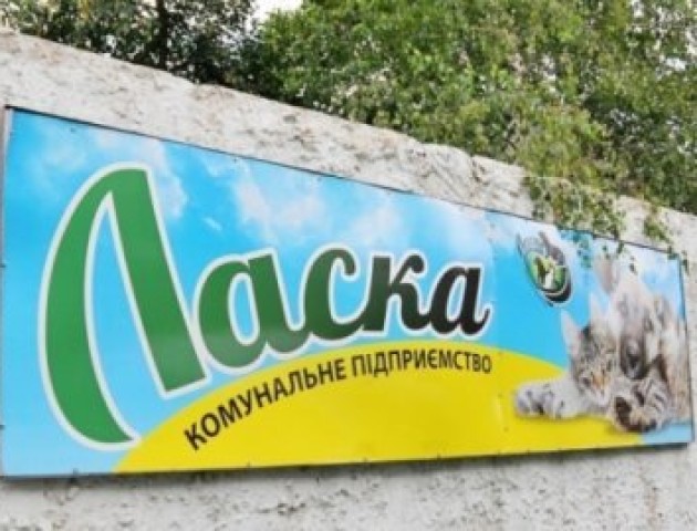 Відомо, хто виконуватиме обов'язки директора в КП «Ласка»