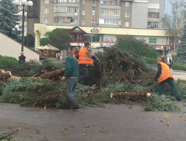 Як у Луцьку усувають наслідки негоди. ФОТО
