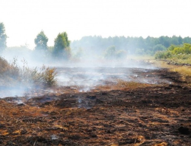 На Волині – 5 пожеж на торфовищах за тиждень