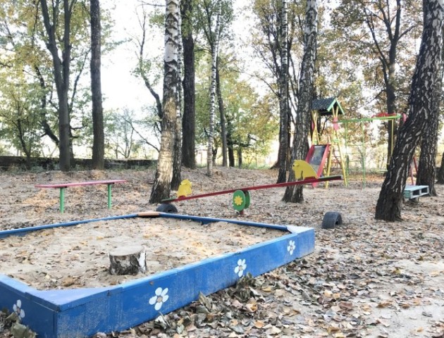 Гойдалки, пісочниця, лавочки – у волинському селищі лісівники збудували дитячий майданчик. ФОТО