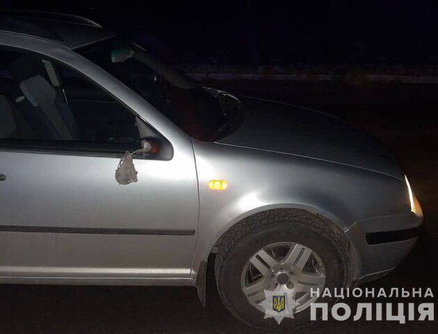 На Волині під колеса легковика потрапила пішохідка