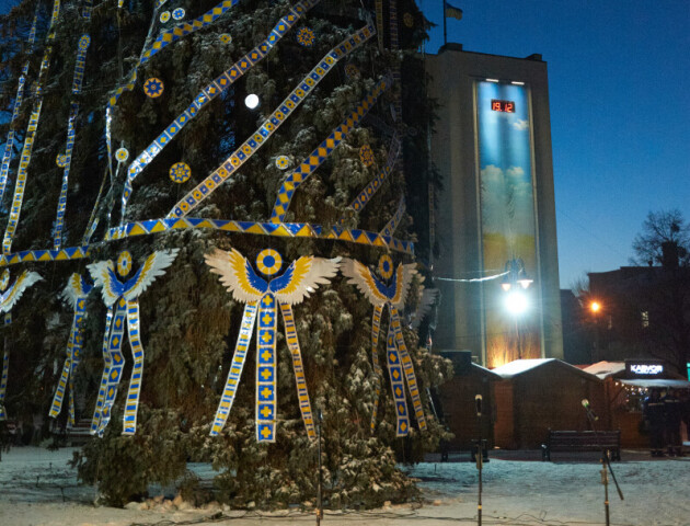У центрі Луцька засвітили ялинку незламності. ФОТО