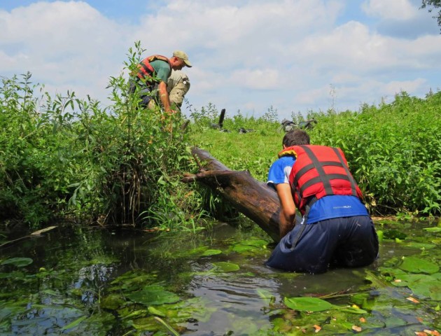 На Волині розчистили річку, щоб туристи могли плавати на байдарках. ФОТО. ВІДЕО