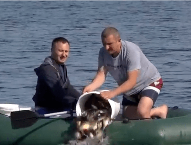 У Ковельське водосховище випустили 730 кілограмів риби. ВІДЕО