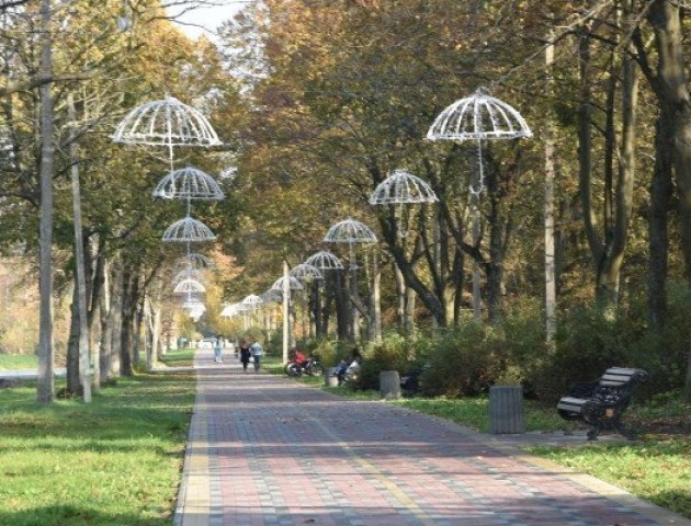 У Центральному  парку Луцька чистять хащі і освітлюють ще одну доріжку. ФОТО