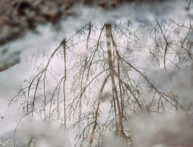 Якою буде погода в Луцьку та області 27 листопада