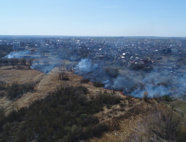 Посеред міста Луцька палять траву