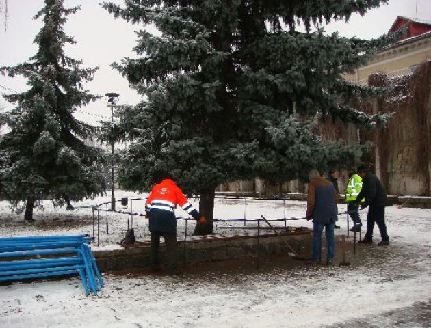 У Ковелі почали прикрашати новорічну ялинку. ФОТО