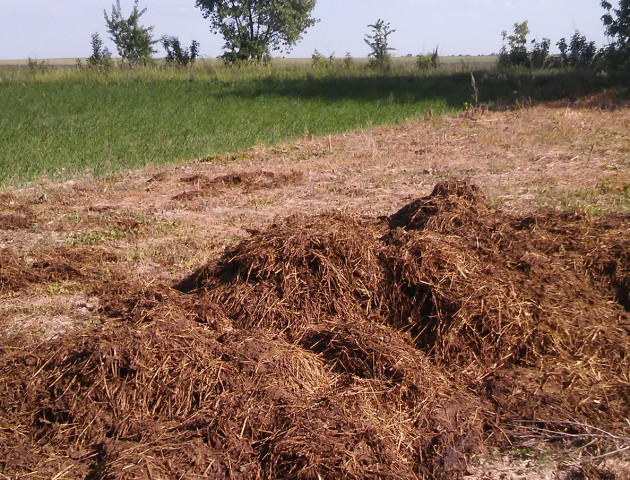 Волинянин за крадіжку гною може «сісти» на три роки