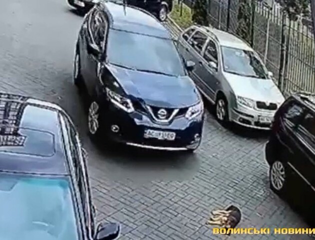 У Луцьку судили жінку, яка переїхала собаку