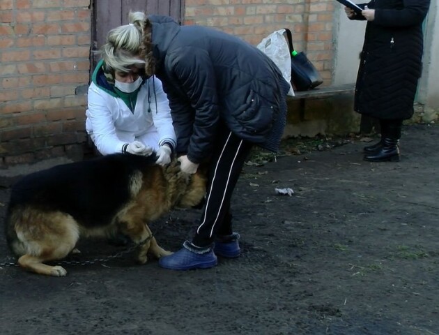 У двох волинських селах оголосили карантин через сказ