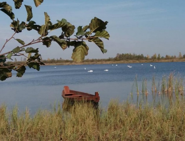 Осіння краса Світязя. ФОТО