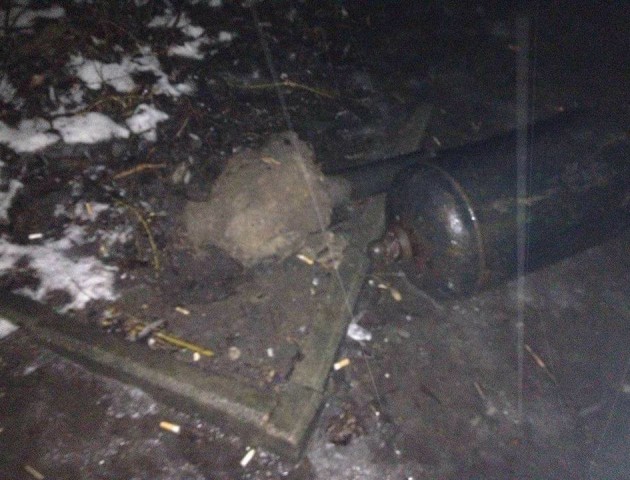 У луцькому парку вандали зламали забетонований в землю смітник. ФОТО