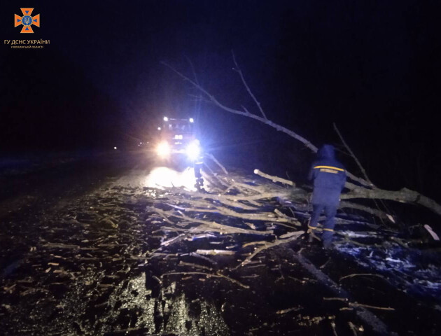 На Волині сильний вітер повалив дерева