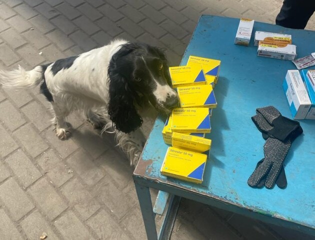 На «Ягодині» у водія знайшли таблетки наркотичної та психотропної дії. ФОТО