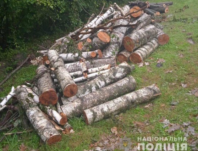 Волинянин нарубав лісу на 80 тисяч гривень