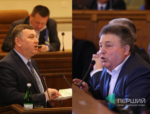 Про незаконні вирубки, корупцію та проституцію: як волинські депутати приймали звернення щодо лісів