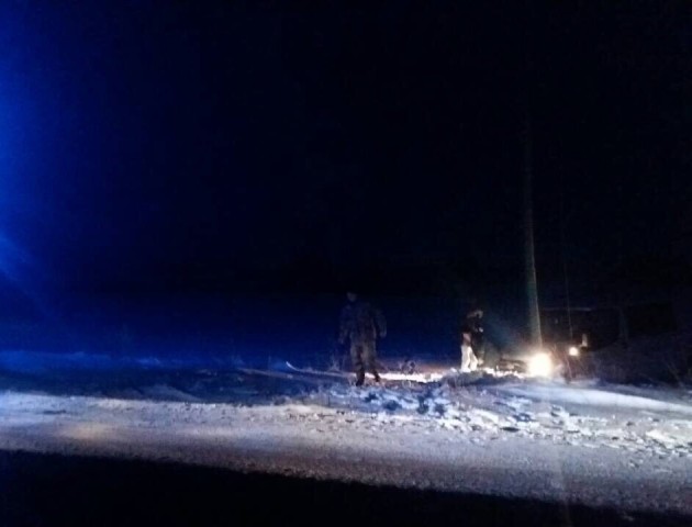 На Волині мікроавтобус з пасажирами злетів у кювет. ФОТО
