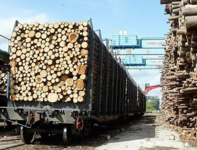 У вересні на Волині перевірять шість лісгоспів
