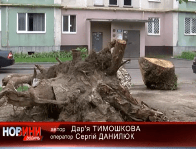 У Луцьку досі не прибрали після зливи, яка пройшла місяць тому. ВІДЕО