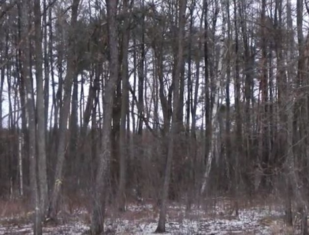 Як у Шацькому Нацпарку готуються до зими. ВІДЕО