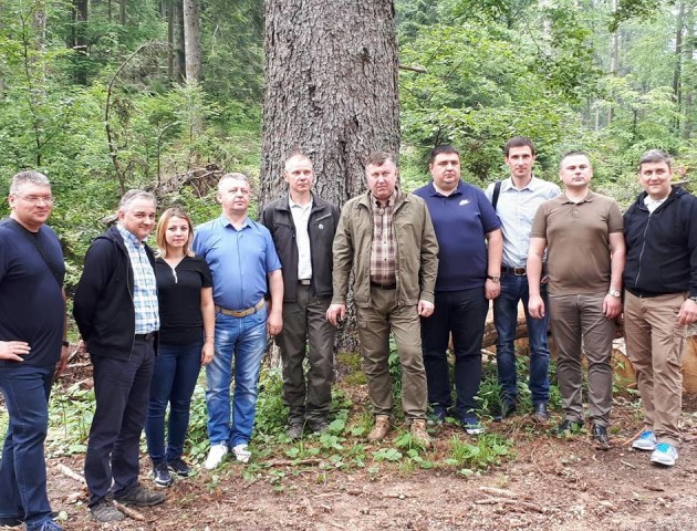 Володимир Бондар обговорив вплив змін клімату на лісове господарство з колегами зі Словенії
