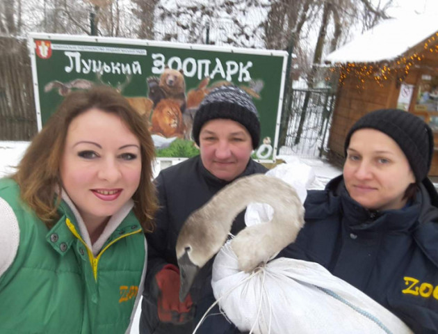 Луцький зоопарк врятував майже чотири десятки тварин