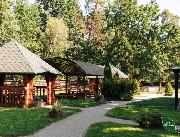 Ківерцівське лісове господарство назвали найкращим в Україні