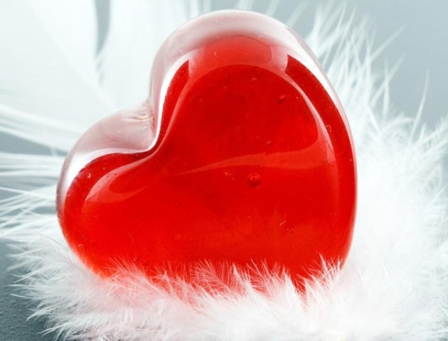День Валентина у Луцьку. ВІДЕО