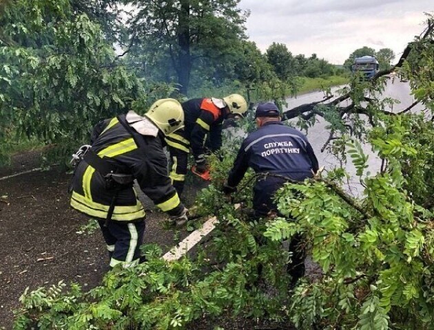 На Волині після буревію декілька сіл досі без світла