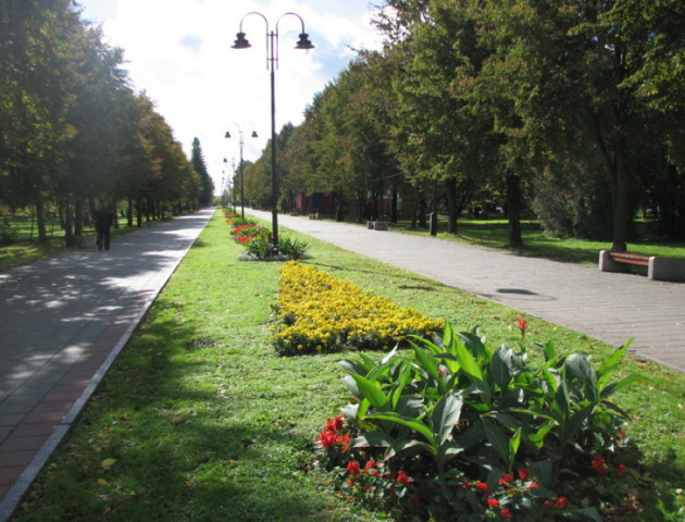 У Луцьку підприємець хоче розмістити тимчасові споруди у Центральному парку