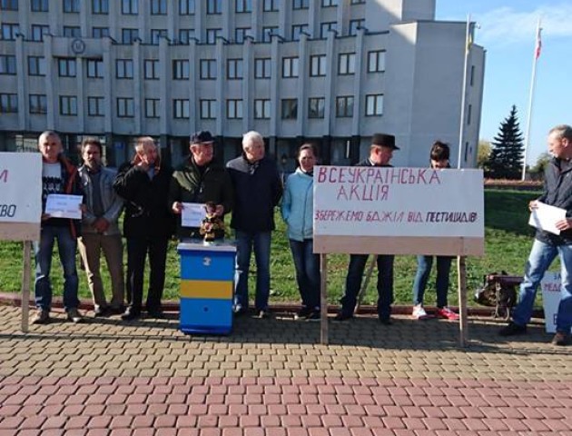 Під стінами Волинської ОДА – акція пасічників. ФОТО