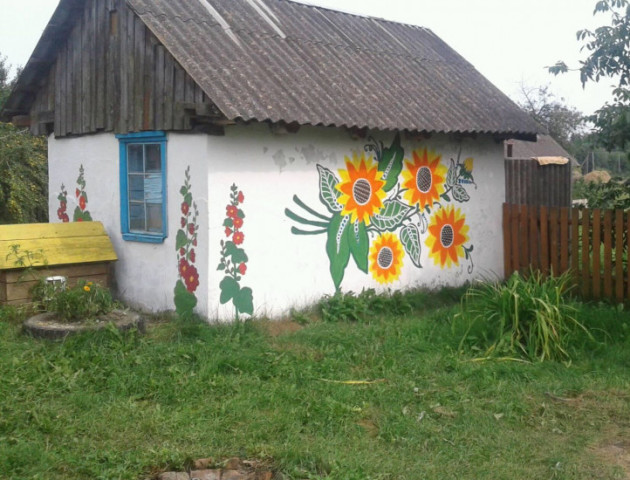 Луцька письменниця створює казку з сільських хатинок. ФОТО