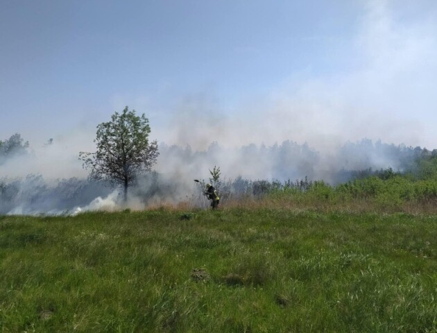 Встановили лучанина, через якого неподалік Луцька згоріло два гектари поля