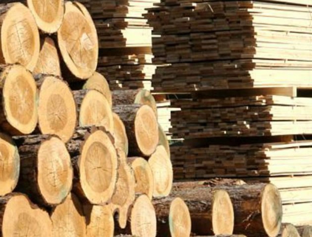 Як заготовляється волинській ліс. ВІДЕО
