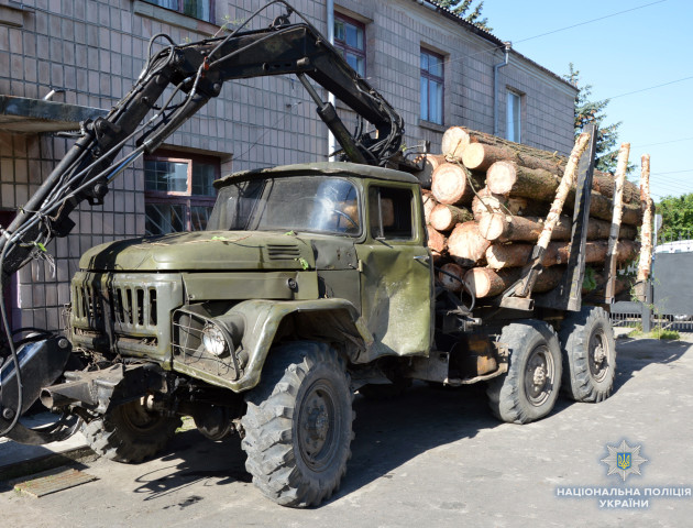 Волинянин може «сісти» на три роки за крадені колоди. ФОТО