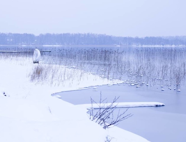 Казкові світлини волинського озера. ФОТО