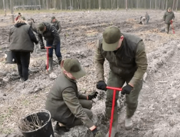 Як відомі волиняни садили ліс. ВІДЕО