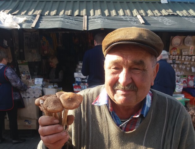 Гриби на луцьких базарах. Де збирають? За скільки продають?