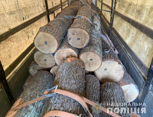 На Волині зупинили водія вантажівки, який незаконно перевозив 50 колод дуба. ФОТО