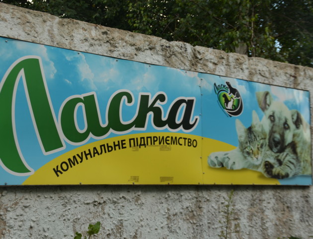 Лучани вимагають ініціювати перевірку на КП «Ласка» та чесно обрати директора підриємства