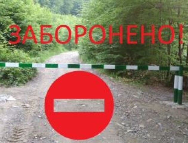 На Волині заборонили в'їзд у лісові масиви будь-якому транспорту