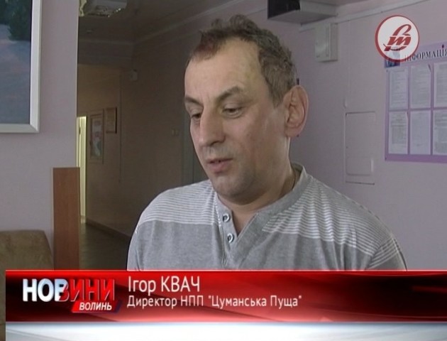 Стали відомі подробиці побиття директора «Цуманської пущі». ВІДЕО